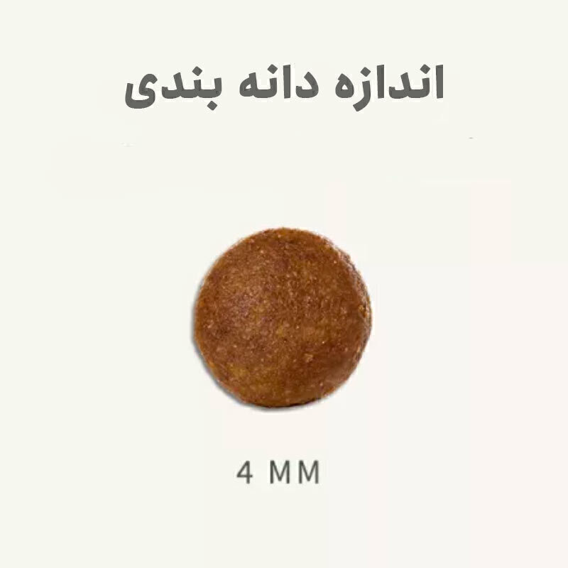 5738927d751a4d24bced3bbaeb483e33