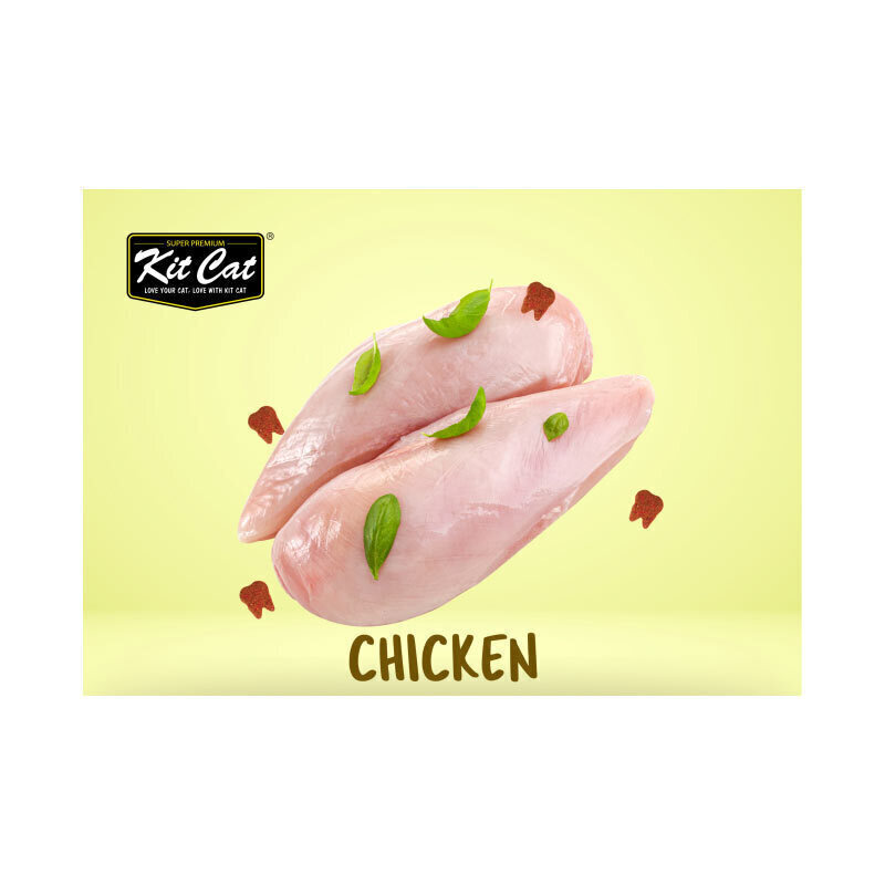 dc06cd2941ff4055b9bd27b806b7aecd