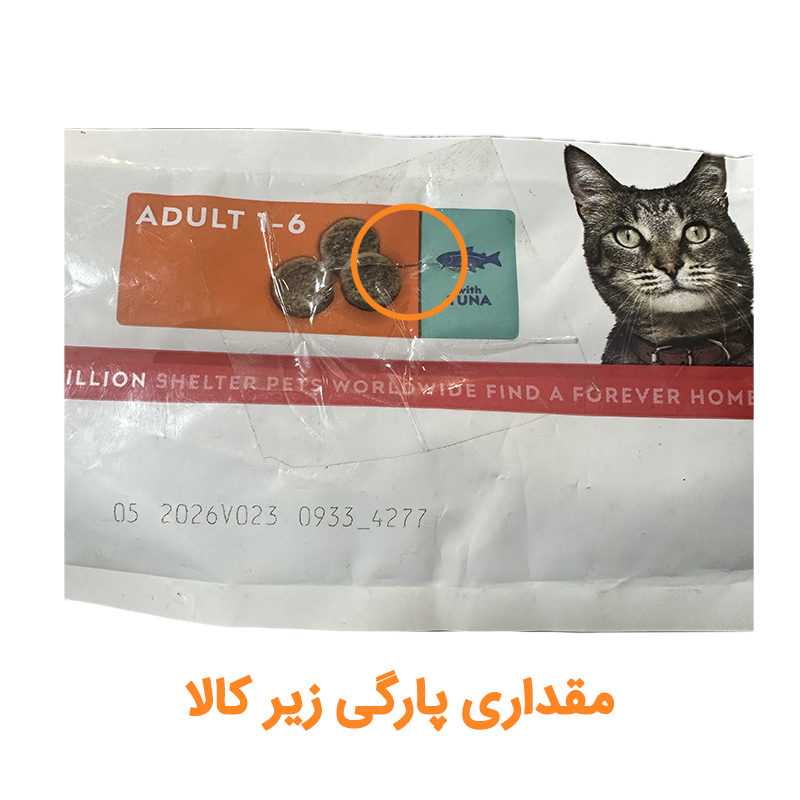 e160bd303dd54bd696729eac2580dcce